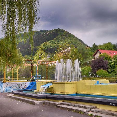 Forest Therapy Suite - Sub Padure Grand Comfort Brasov Bagian luar foto
