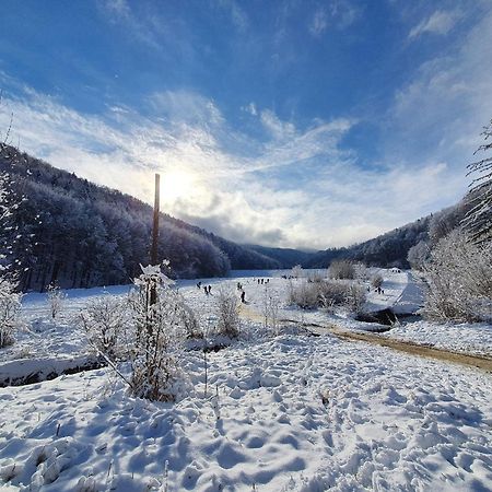 Forest Therapy Suite - Sub Padure Grand Comfort Brasov Bagian luar foto