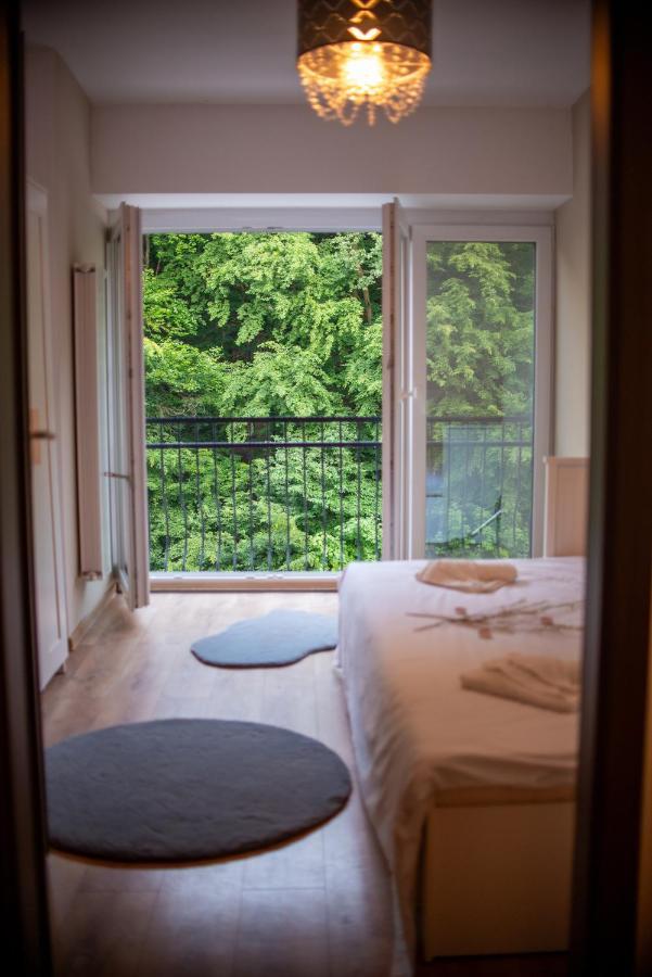 Forest Therapy Suite - Sub Padure Grand Comfort Brasov Bagian luar foto