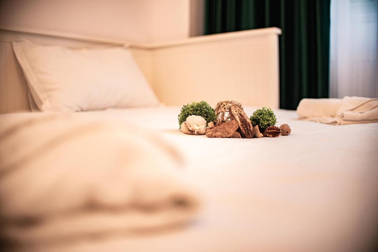 Forest Therapy Suite - Sub Padure Grand Comfort Brasov Bagian luar foto