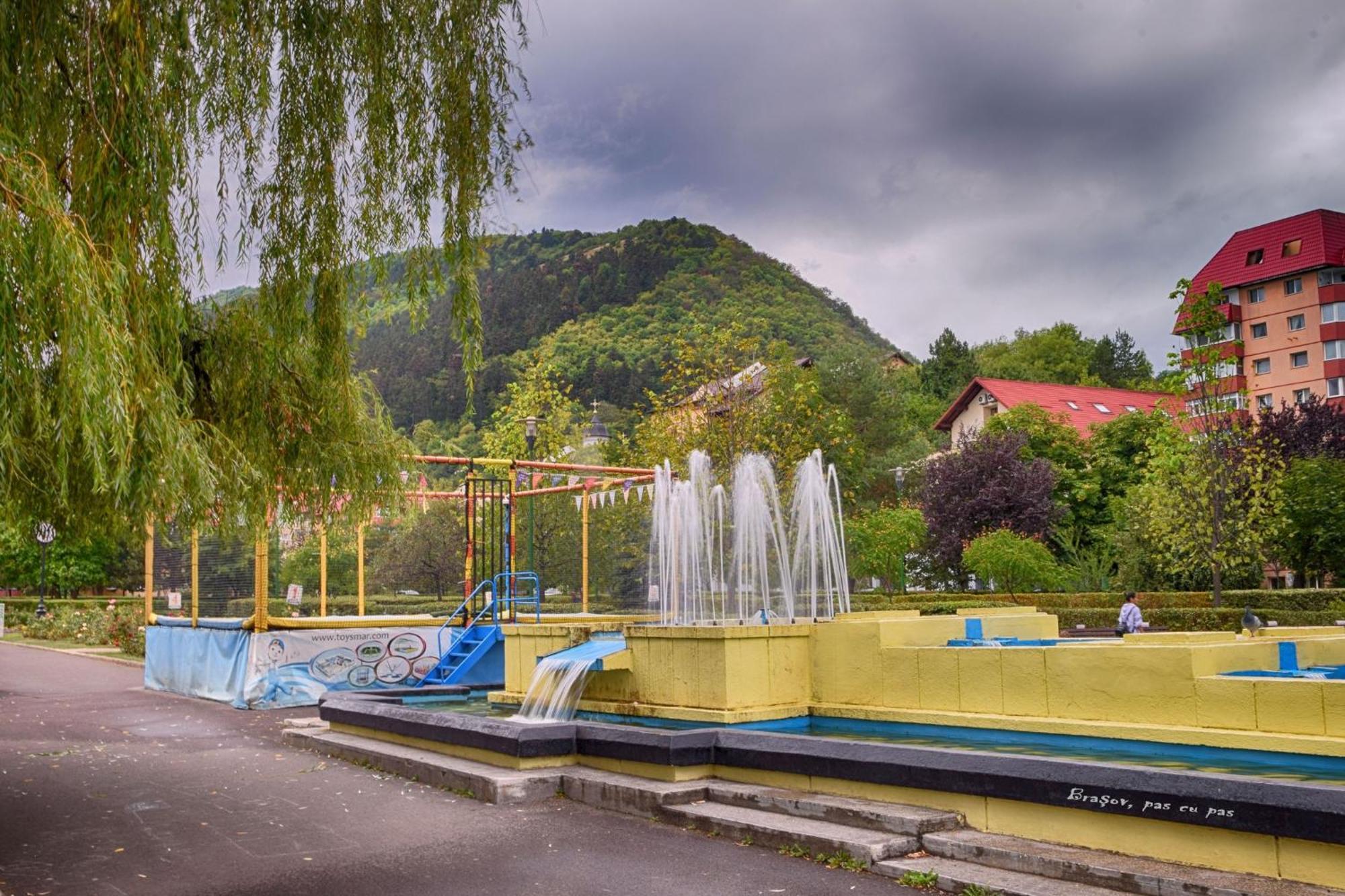 Forest Therapy Suite - Sub Padure Grand Comfort Brasov Bagian luar foto
